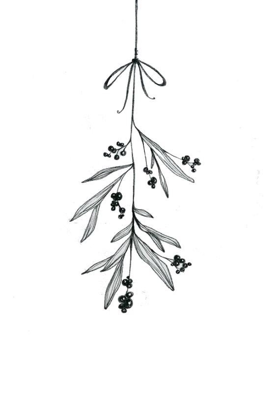 an ink drawing of leaves and berries hanging from a twig on a white background