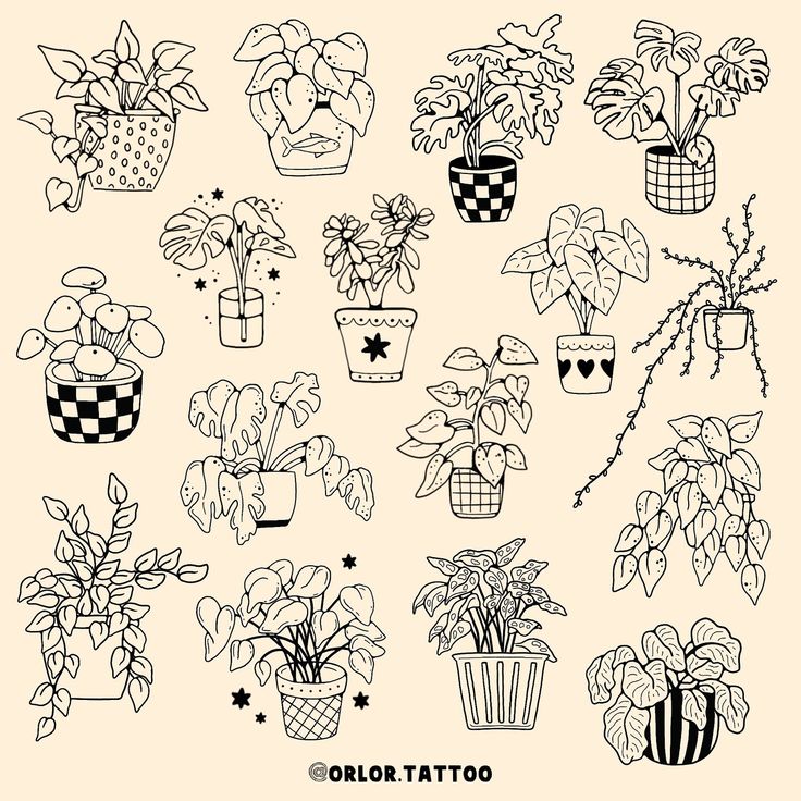 a bunch of potted plants that are drawn in black and white on a beige background