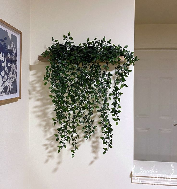 a green plant hanging from the side of a white wall next to a mirror and window