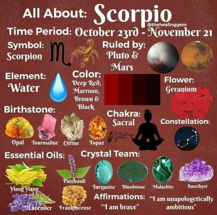 the zodiac sign for all about scorpio