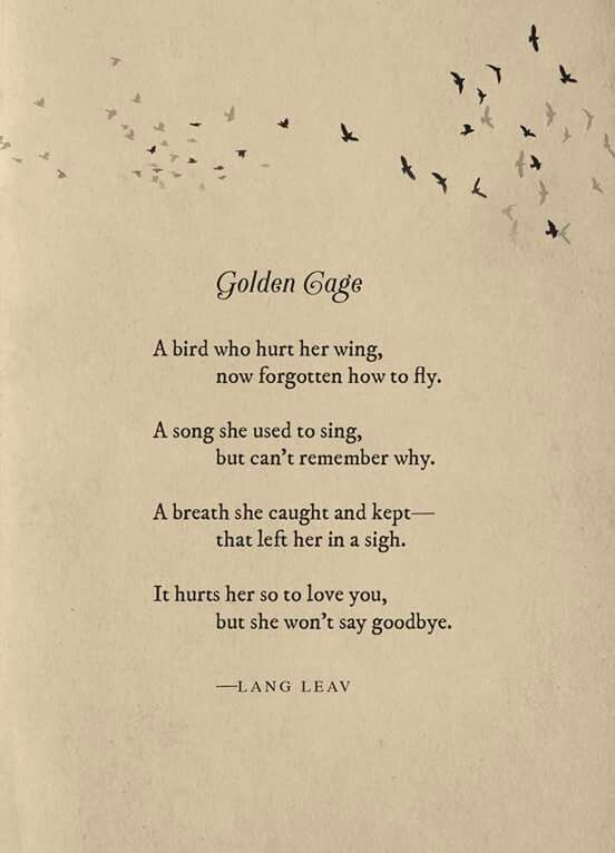 an old book with birds flying in the sky and a poem written on it that says, golden cage