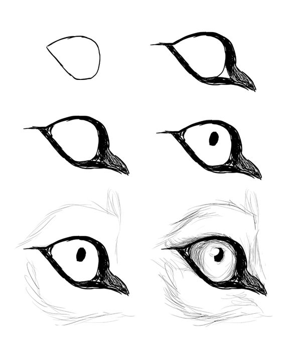 the eyes are drawn in black and white, with different angles to show them's features