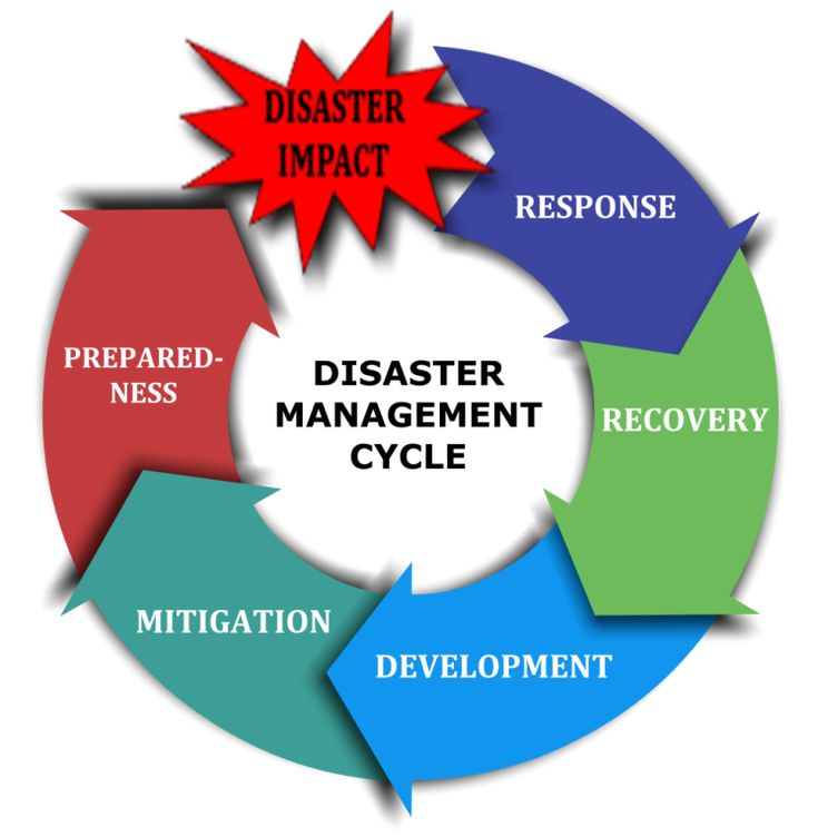 Nursing: DISASTER NURSING Social Science Project, Disaster Management, Art Psychology, Disaster Plan, Crisis Management, Environmental Degradation, Disaster Response, The Human Experience, Excel Tutorials