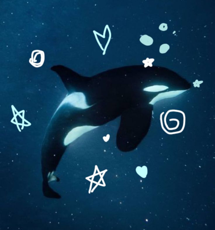 an orca whale swimming in the ocean surrounded by stars and other marine life items