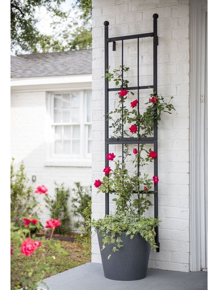 a potted plant on the side of a house with flowers growing out of it