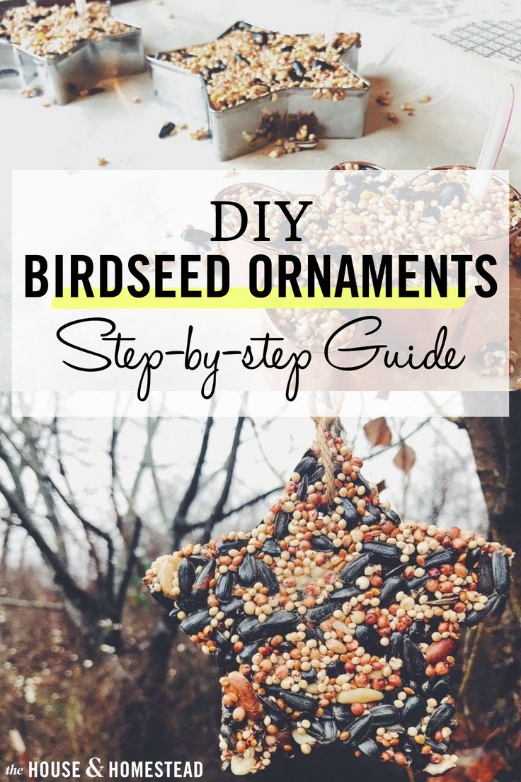 homemade bird feeders with text overlay that reads diy birdseed ornaments step by step guide