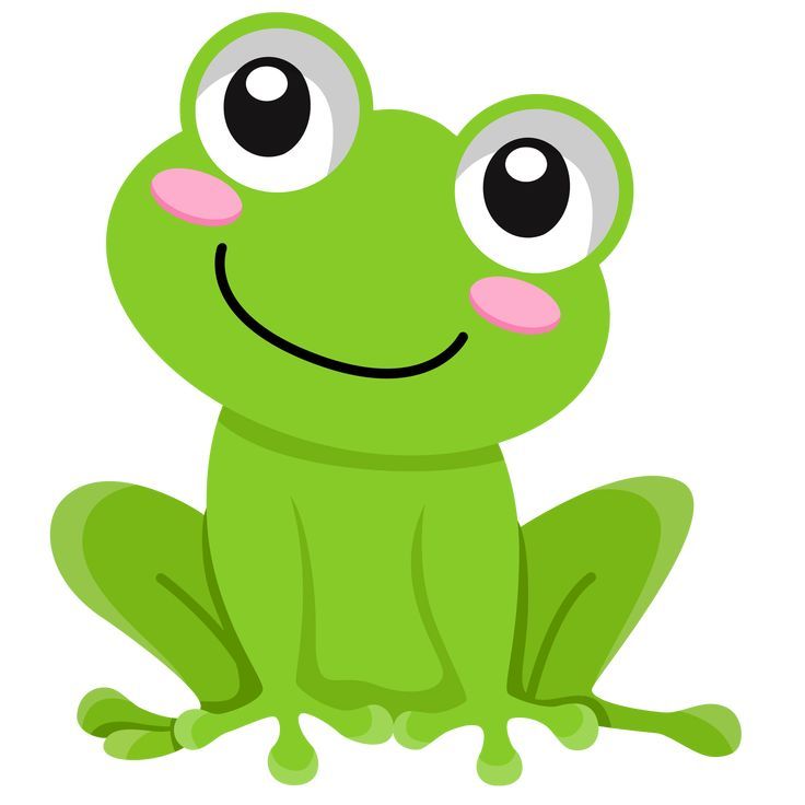 a green frog with big eyes sitting down