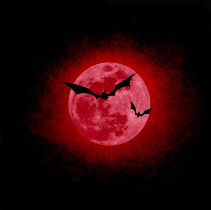 two bats flying in front of a full moon