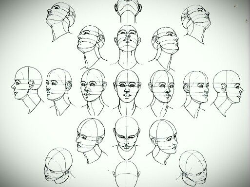 the head and shoulders are shown with different facial shapes, including one for each face