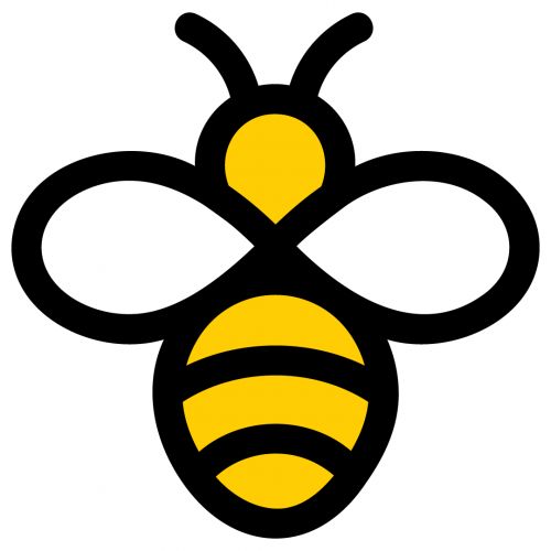 a black and yellow bee on a white background