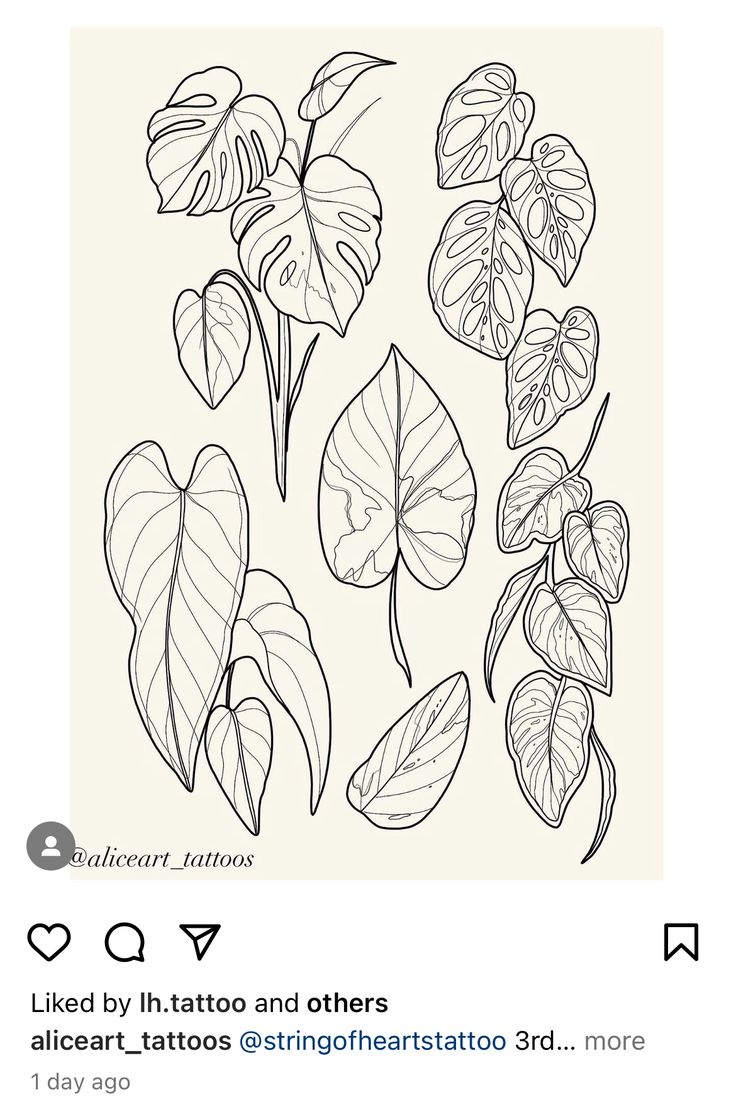 some plants that are drawn in black and white on a tweep with the caption