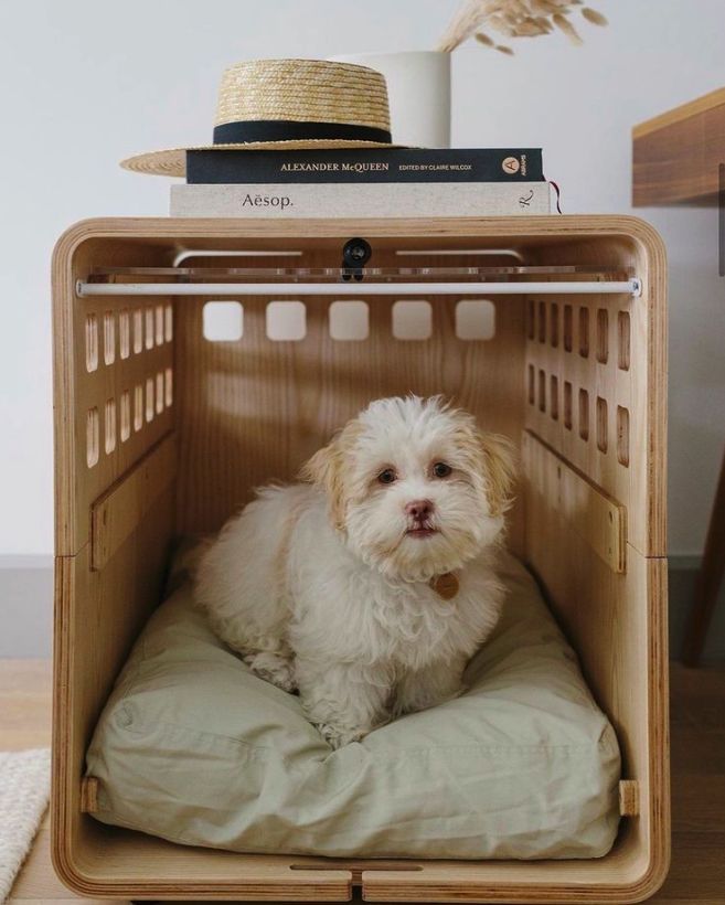 a small white dog sitting in a wooden crate