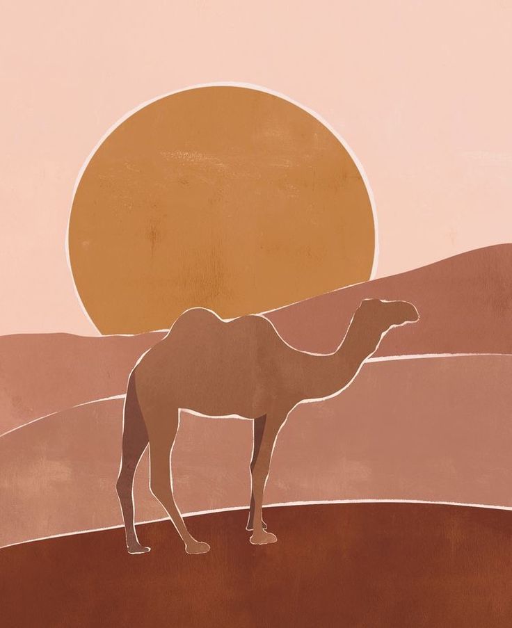 a camel is standing in the desert at sunset