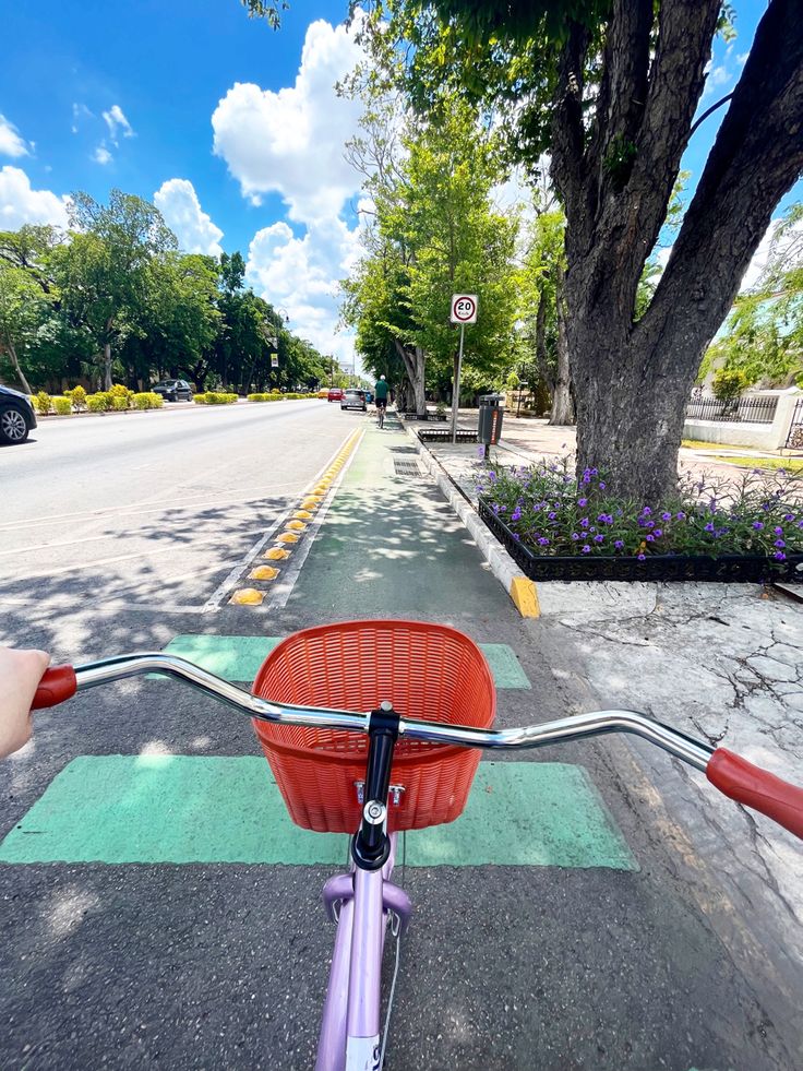 someone riding their bike down the street with a basket on the handlebars in front of them