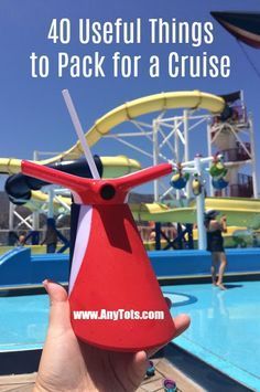 a person holding up a plastic toy in front of a water park