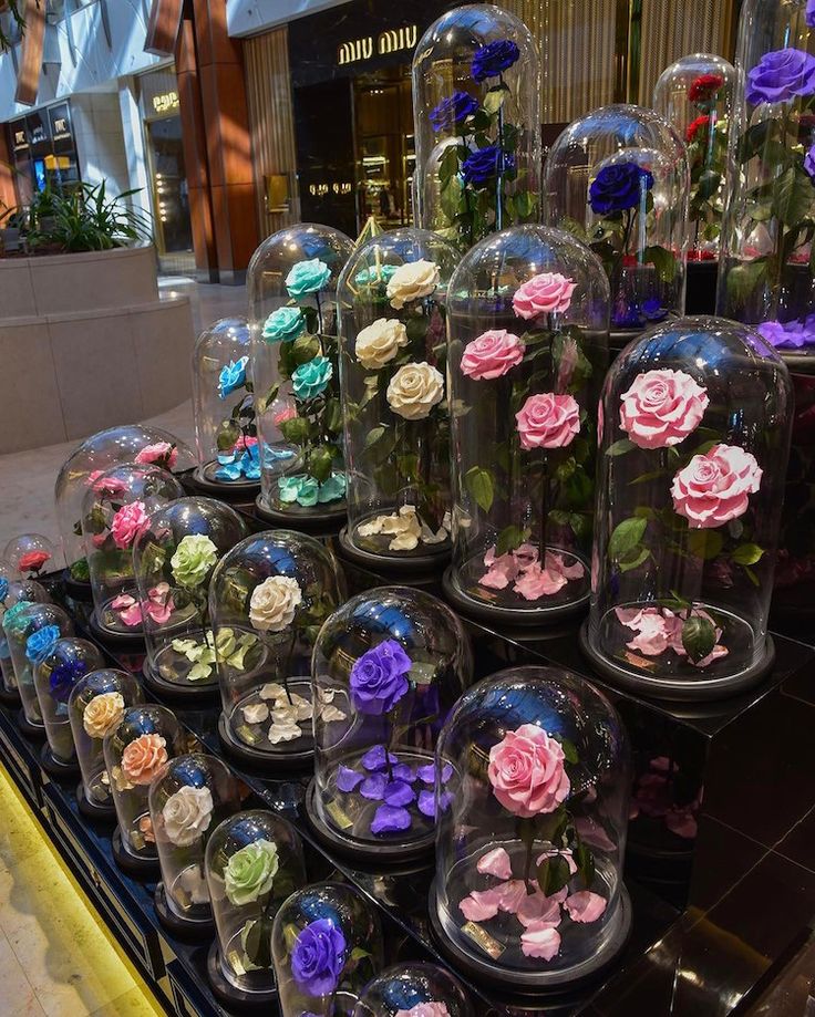 there are many flowers under glass domes on the shelf in the store and one is pink