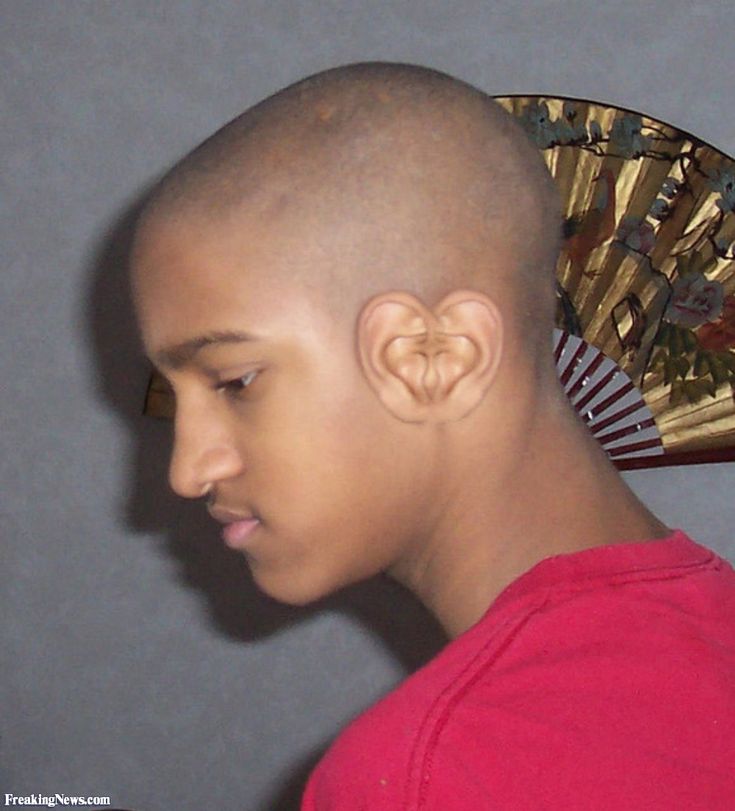 a young man with a bald head and fan on top of it's head