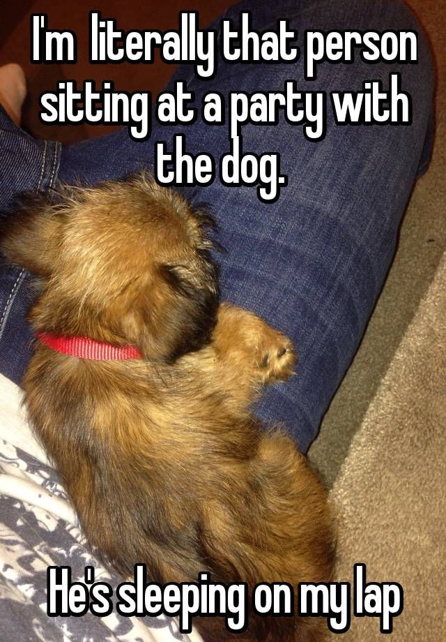 a dog laying on its back with the caption i'm literally that person sitting at a party with the dog he's sleeping on my lap