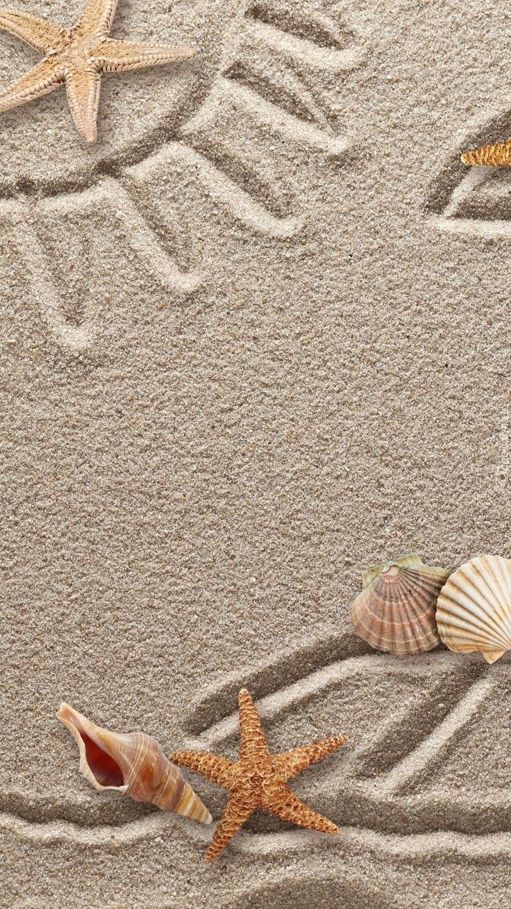 starfish and seashells on sandy beach with wave drawing in sand behind them