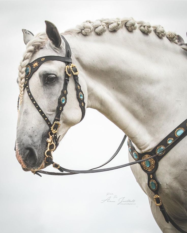 a white horse with braided manes and bridle on it's head