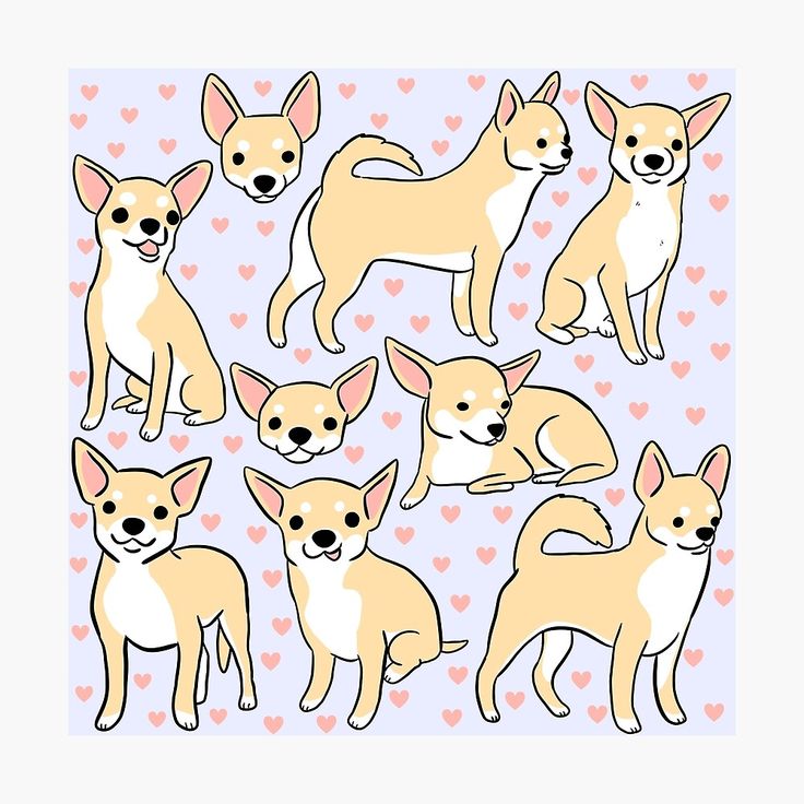 a group of chihuahuas with hearts in the background