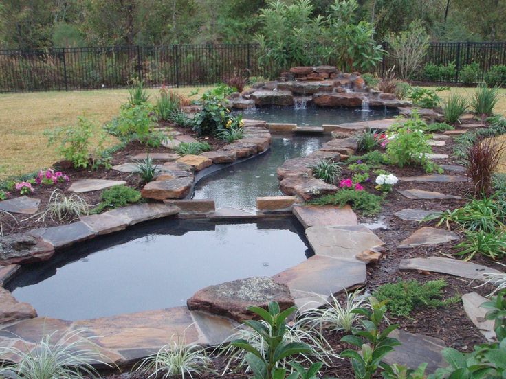 an outdoor pond surrounded by plants and rocks