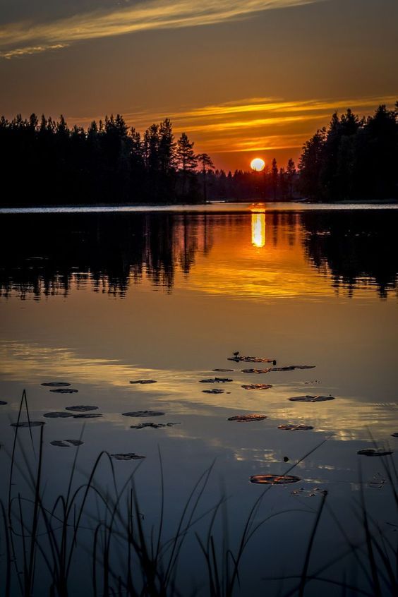 the sun is setting over a lake with water lilies