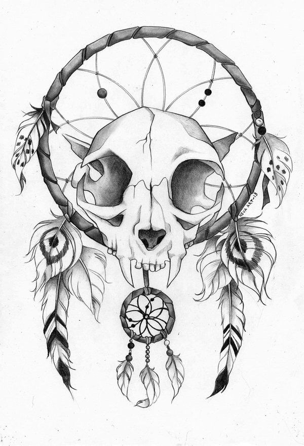 Dream catcher Gothic Dream Catcher Tattoo, Tattoo Ideas Dream Catcher, Skull Dream Catcher, Atrapasueños Tattoo, Dreamcatcher Drawing, Dream Catcher Drawing, Bear Skull, Dream Catcher Art, Dream Catcher Tattoo