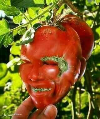 a red tomato that has been painted to look like a person's face