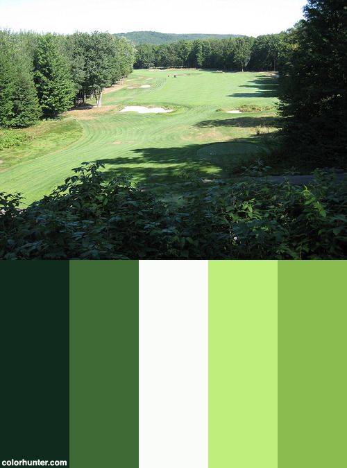 a green and white color scheme for a golf course