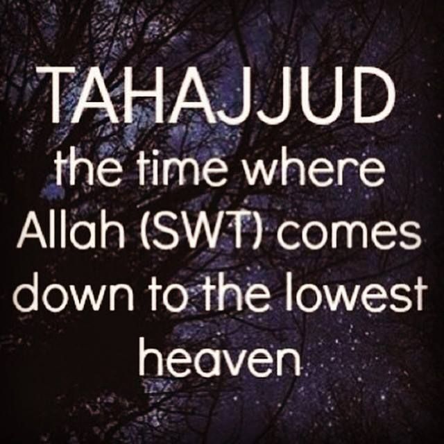 there is a tree with the words tahajjud on it in white