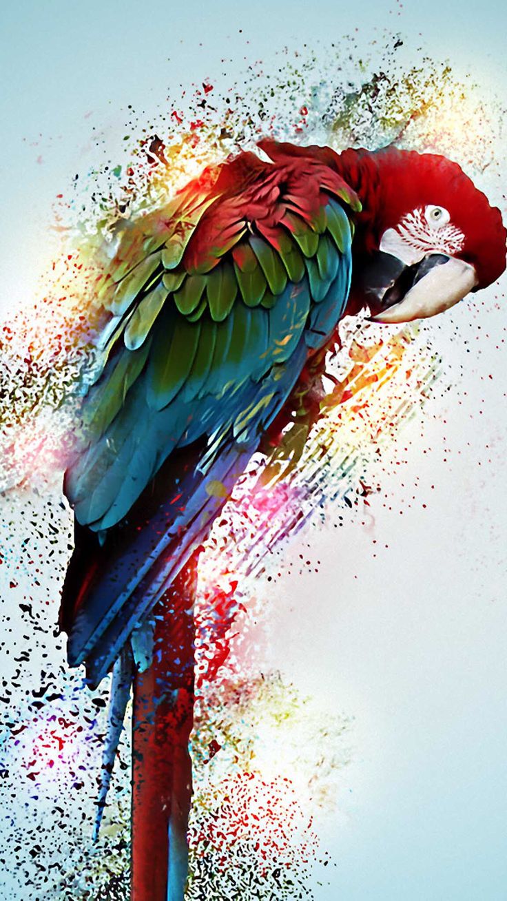 a colorful bird is sitting on top of a branch with paint splatters all over it