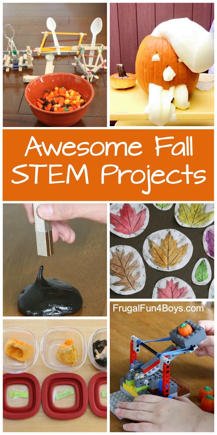 Fall STEM Activities that are Engaging and Fun! Pumpkin science, candy corn catapults, leaf art, and more. Projects For Elementary Students, Fall Stem Activities, Stem Camp, Stem Activities Preschool, Elementary Stem Activities, Fall Science, Stem Projects For Kids, Halloween Stem, Preschool Stem