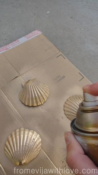 a hand holding a spray bottle next to three seashells on a cardboard box