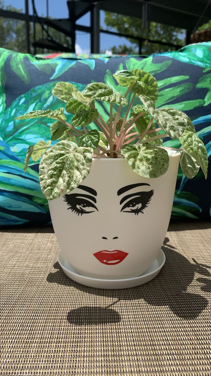 a potted plant sitting on top of a table next to a pillow with a woman's face painted on it