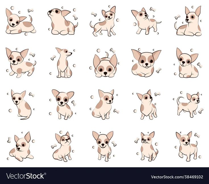 a set of cartoon chihuahuas with different expressions