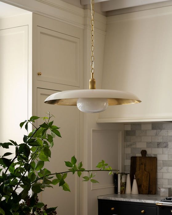 a kitchen with a potted plant in the corner and a light fixture hanging from the ceiling