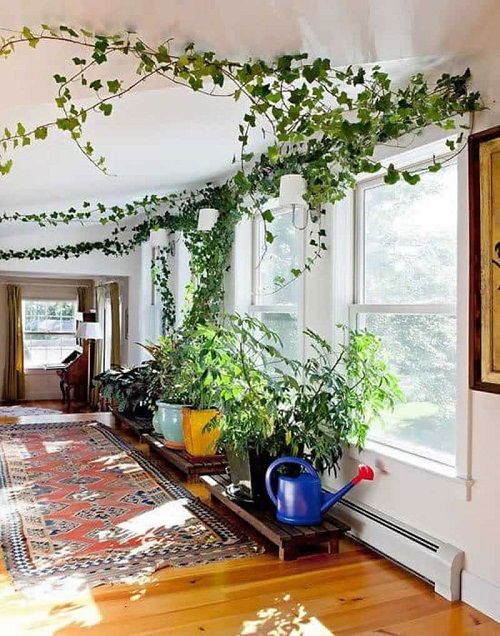 a living room filled with lots of plants next to a window covered in green vines