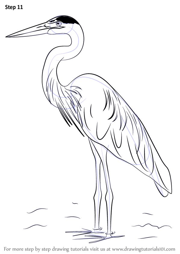 a large bird standing in the water with its long legs spread out and it's head