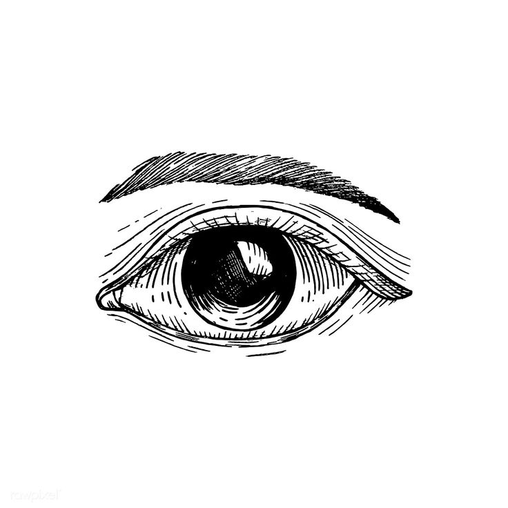 an eye drawn in pencil on paper with the iris looking straight into the camera lens