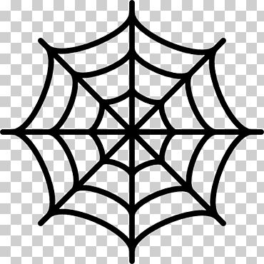 a spider web on a white background, with black lines in the center and bottom