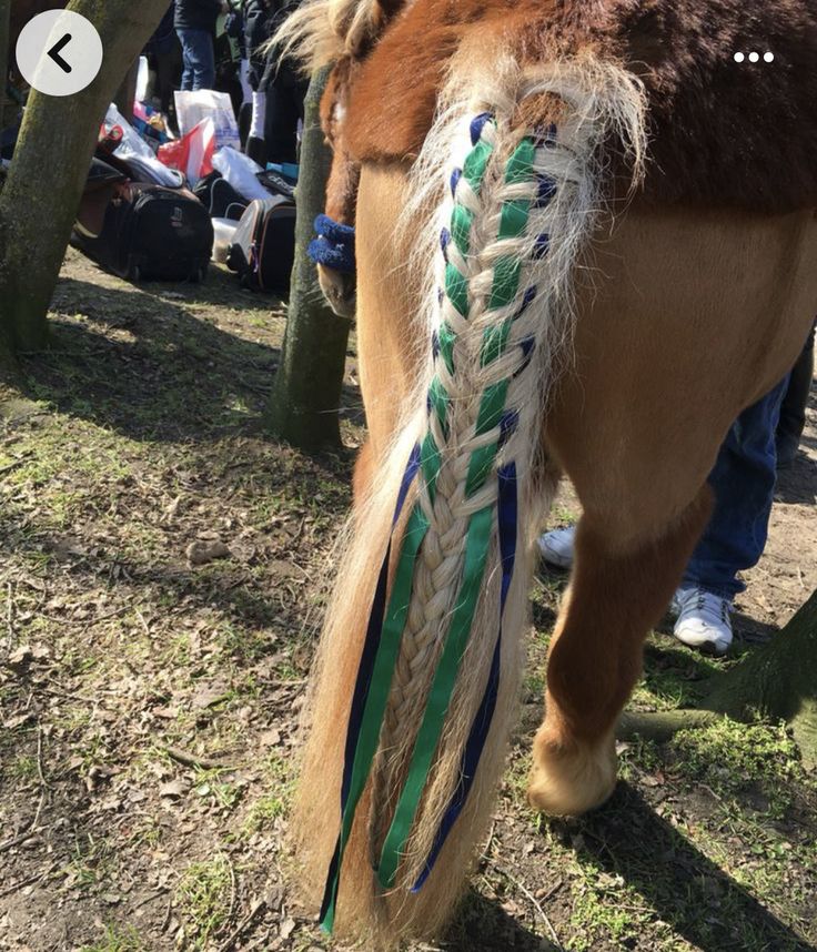 a close up of a horse's head with braids on its mane and people in the background