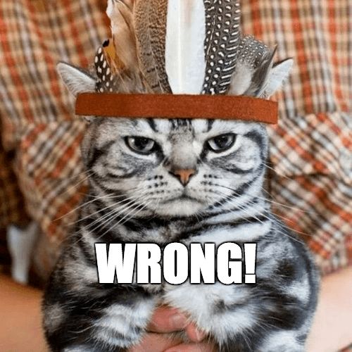 a cat wearing a hat with feathers on it's head and the caption wrong