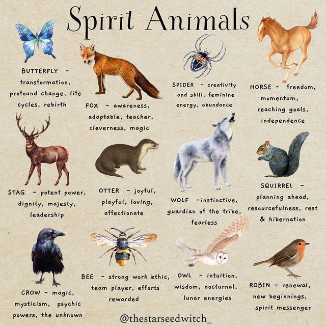 the different types of animals and their names