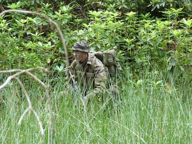 a man in camouflage crouches through tall grass and bushes while looking at the camera