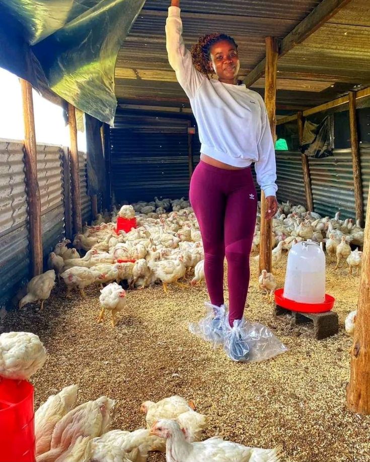 a woman standing on top of a pile of chicken in a barn with her arms up