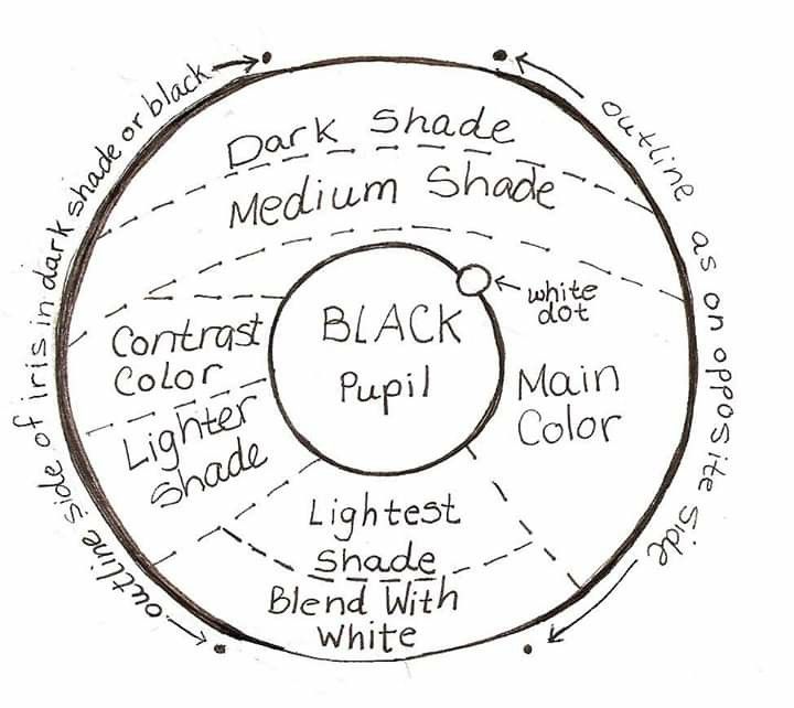 a diagram showing the different parts of a black and white color wheel, labeled in several words