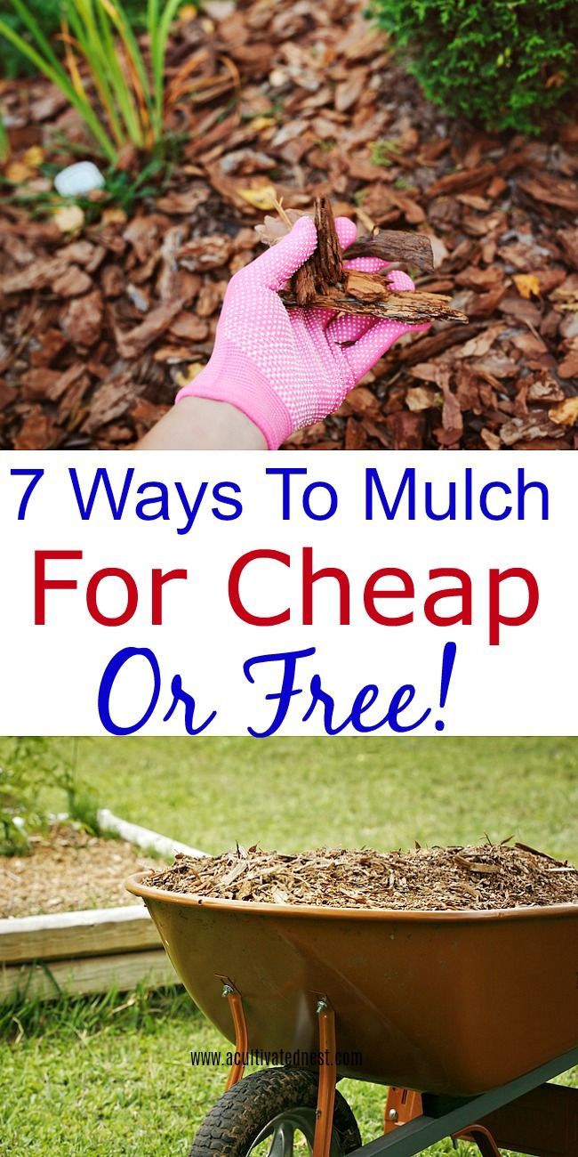 a wheelbarrow full of mulch with the words 7 ways to mulch for cheap or free