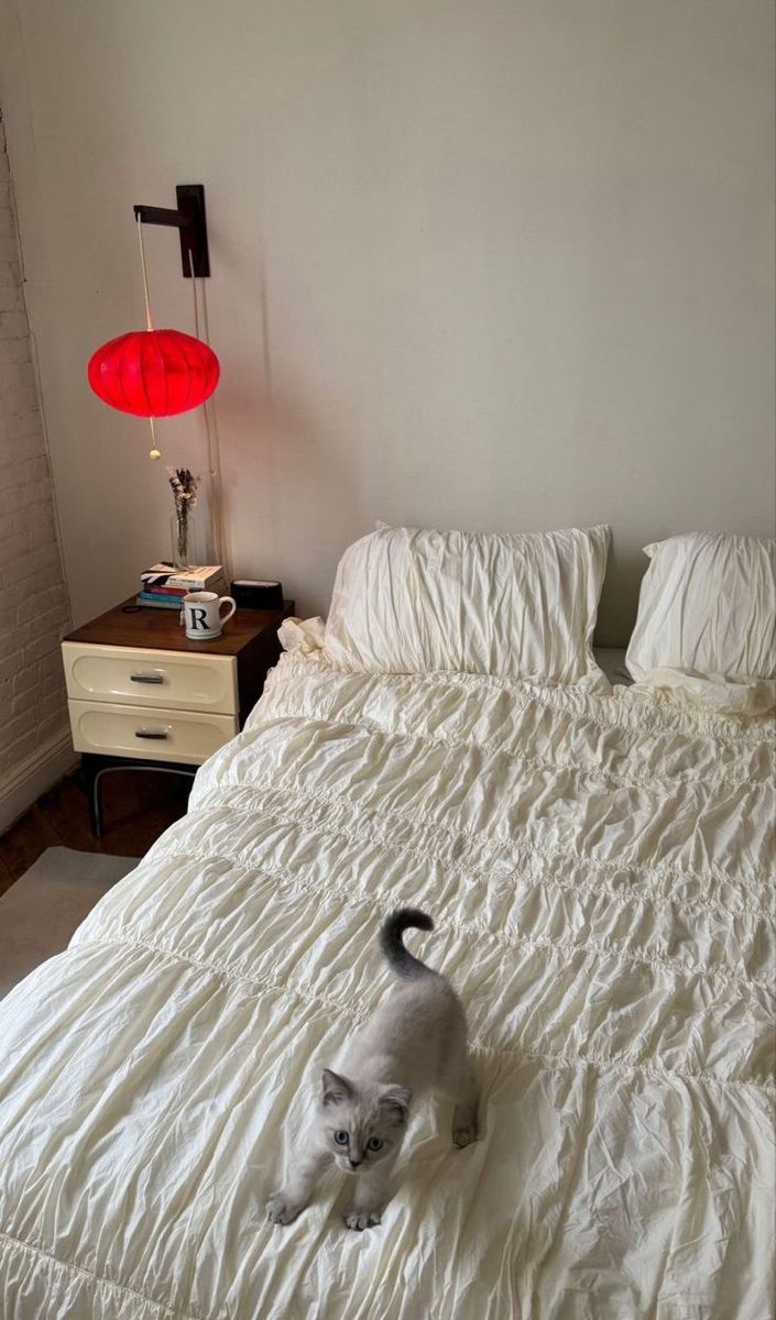 a cat laying on top of a white bed in a bedroom next to a lamp