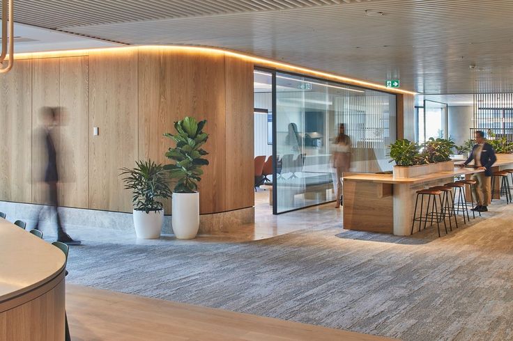 an office with people working at their desks and planters in the foreground